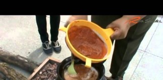 mole de olla