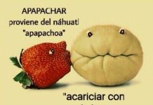 El apapacho