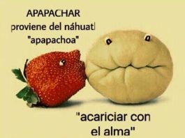 El apapacho