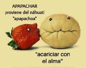 El apapacho