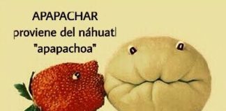 El apapacho