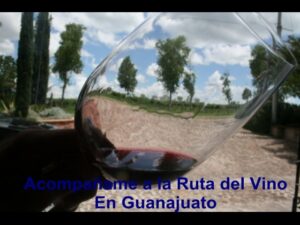 La tierra tiene memoria