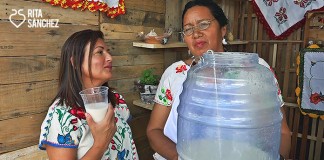 receta AGUA DE CACAHUATE