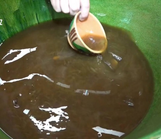 AGUA DE CHILACAYOTA (Oaxaca)