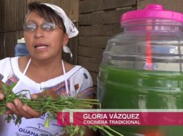 Agua de alfalfa