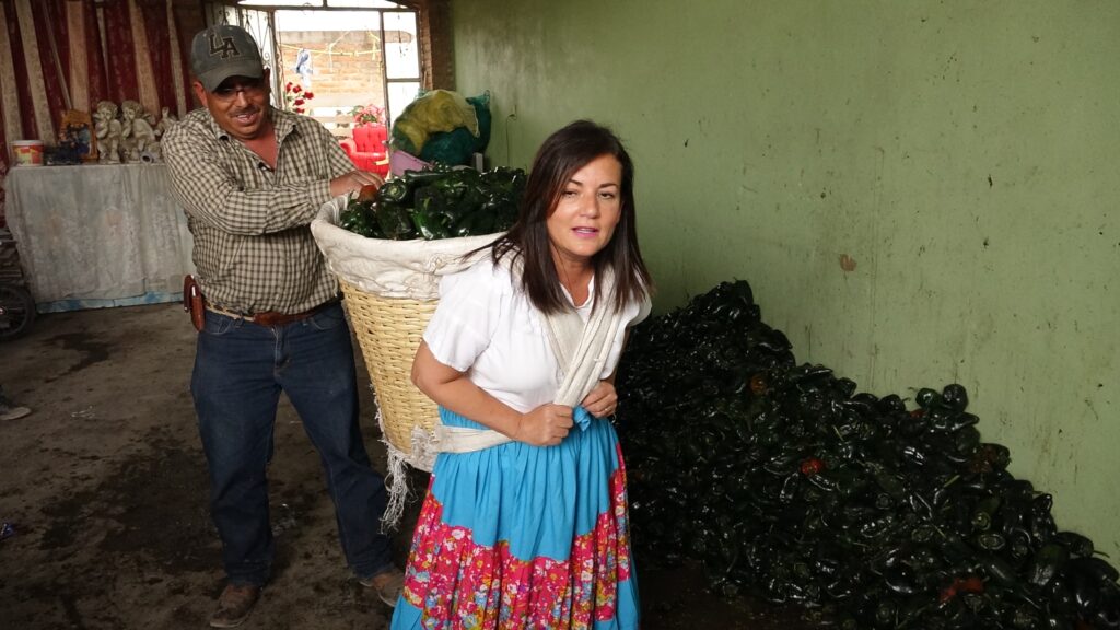 Recolección y preparación de chile